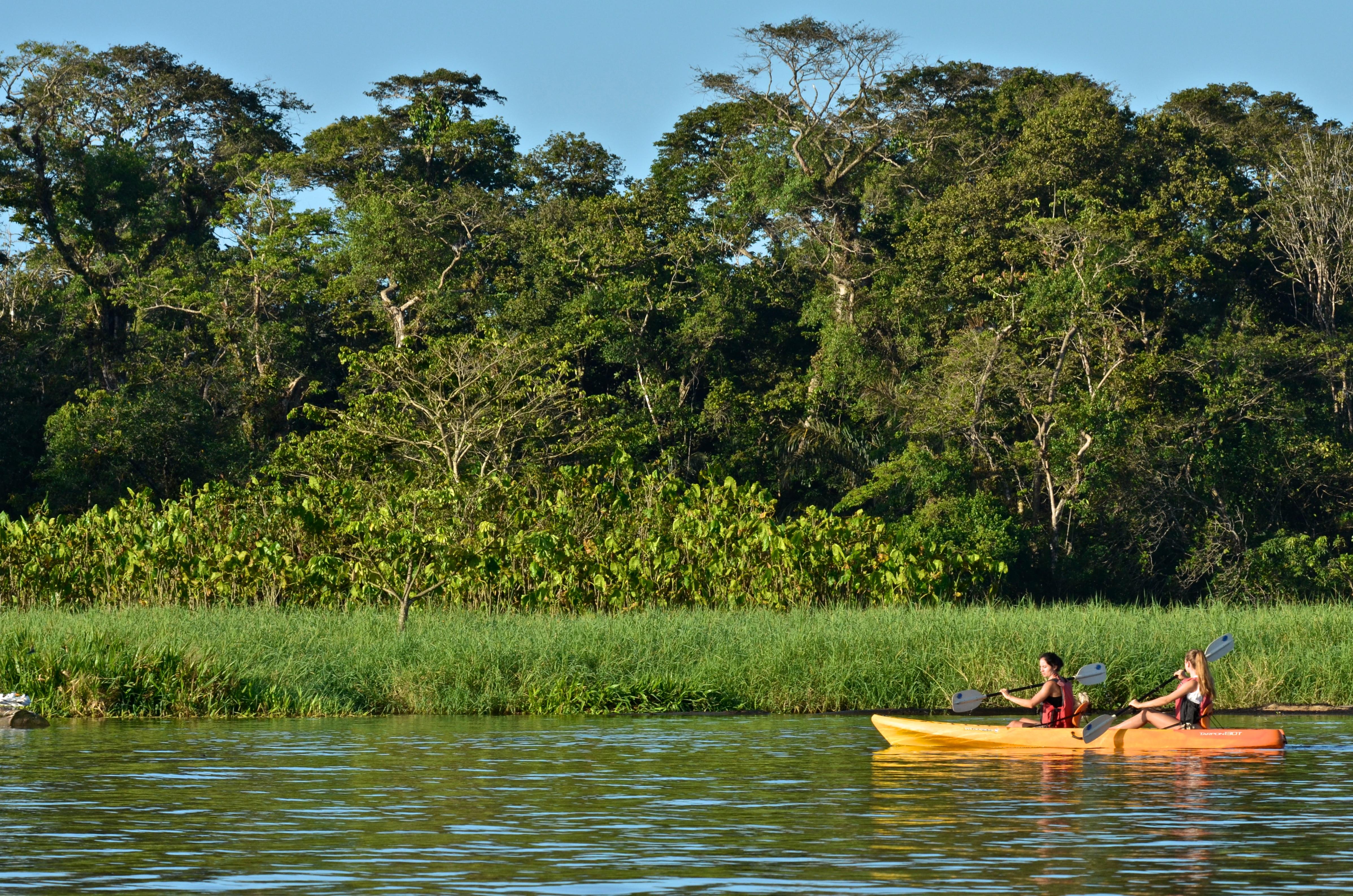 HOTEL MAWAMBA LODGE TORTUGUERO 3* (Costa Rica) foto